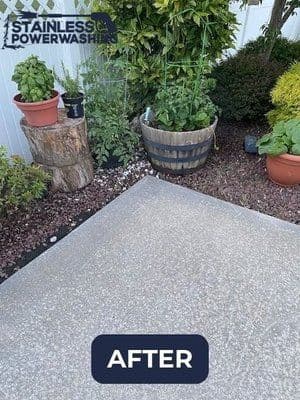 Cleaned patio area with potted plants, showcasing an appealing outdoor space transformation.