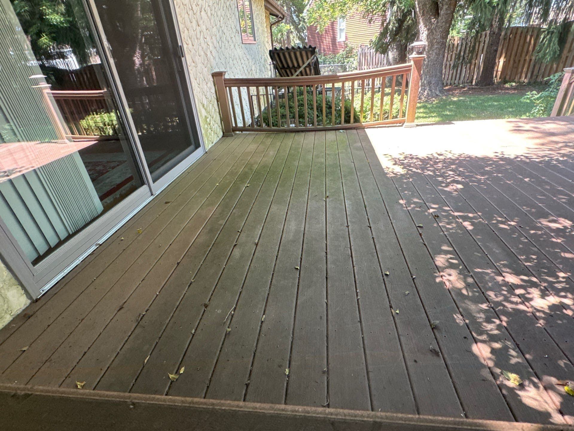 Wooden deck with railing indoors, surrounded by greenery and sunlight.