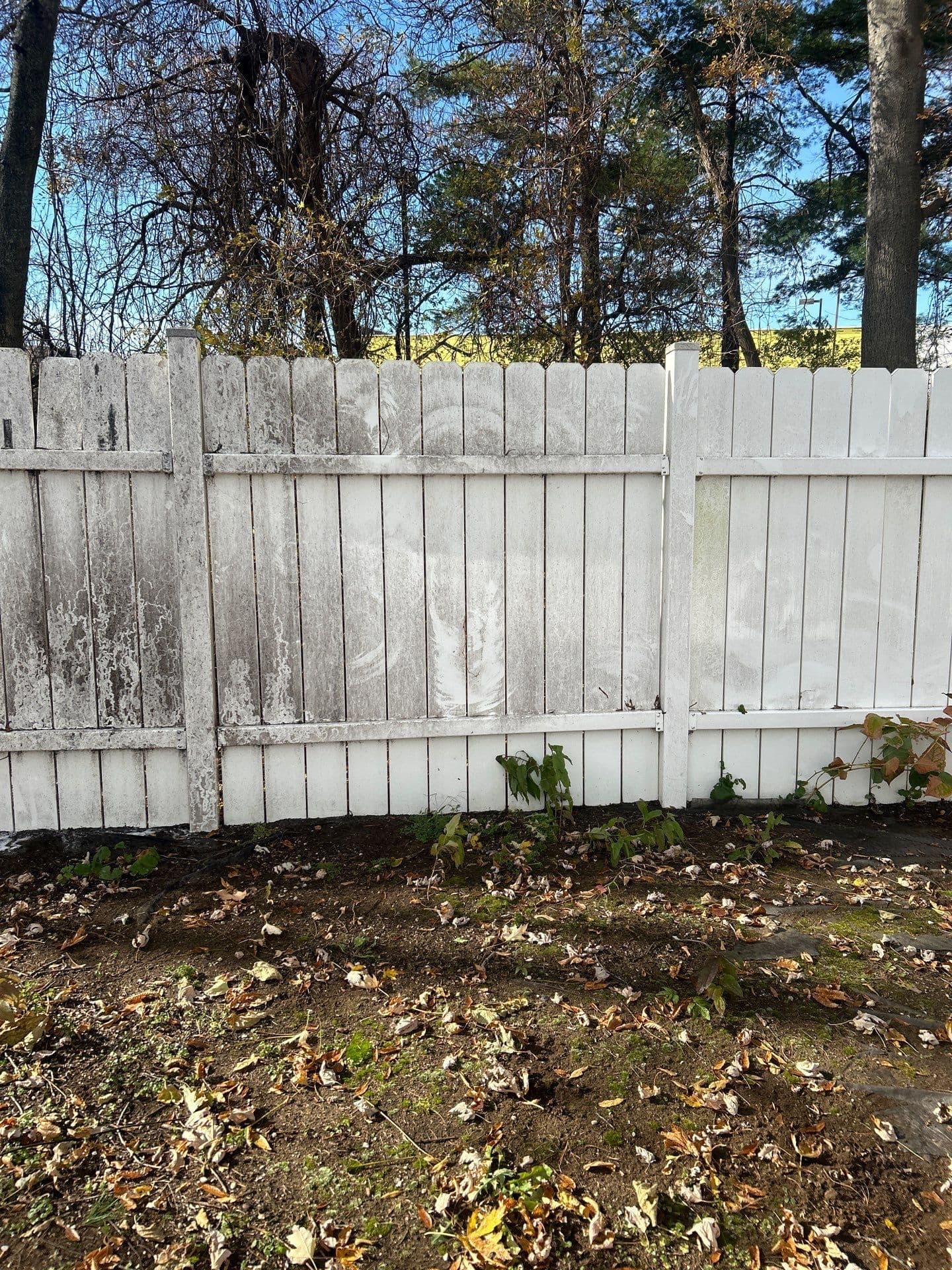 Weathered white wooden fence with peeling paint surrounded by fallen leaves and trees.