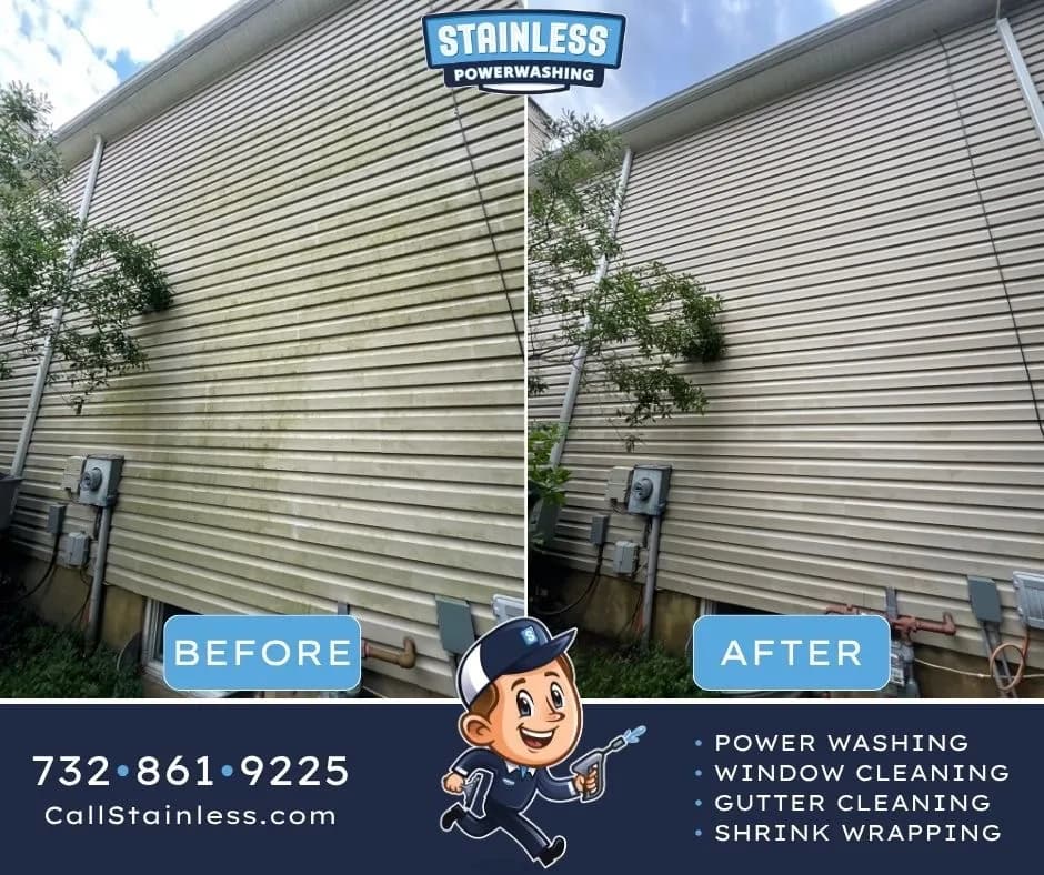 Project Green Algae and Grime Gone After a Professional Siding Wash image