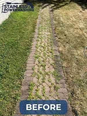 Before image of a overgrown brick pathway with weeds, showcasing the need for power washing.