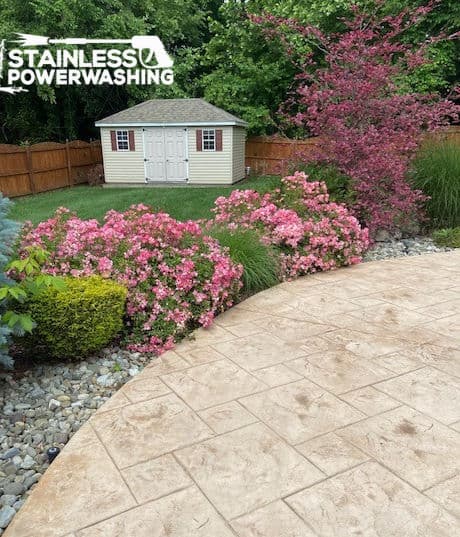 Colorful garden with pink flowers and a shed, showcasing a clean stamped concrete patio.