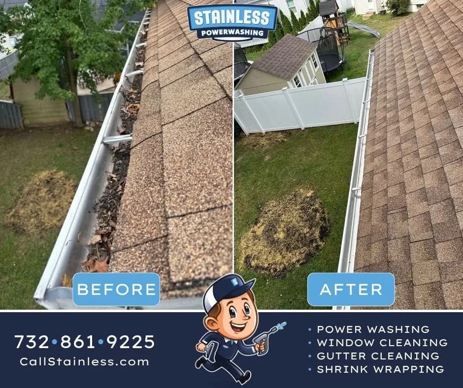 Packed Gutters Cleared Out for a Little Silver Home image