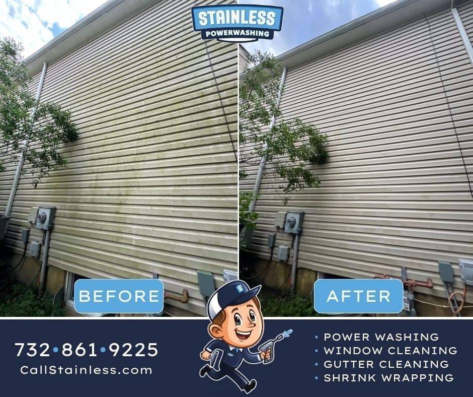 Green Algae and Grime Gone After a Professional Siding Wash image