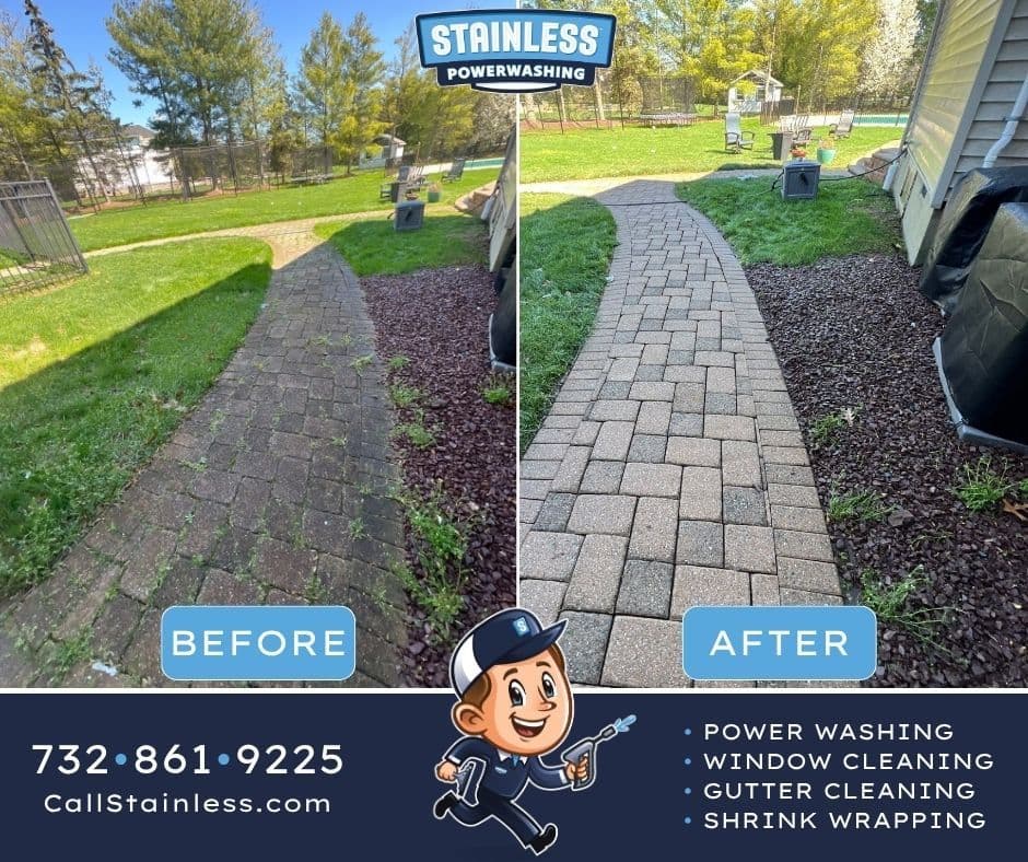 Mossy Paver Walkway Gets a Deep Clean in Manalapan NJ image
